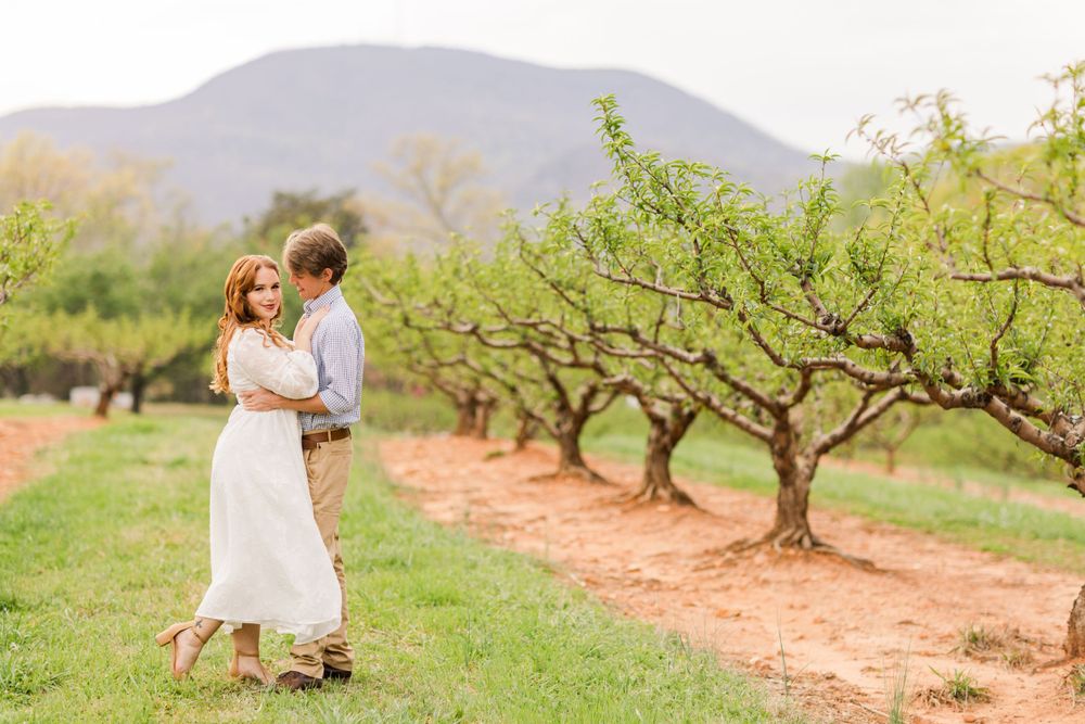 A couple embraces in an orchard with mountains in the background.
