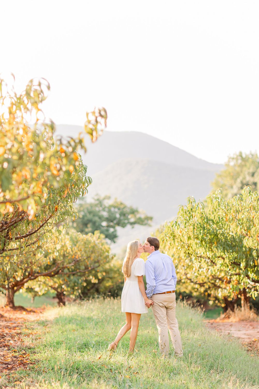 A romantic sunset portrait in an orchard with golden sunlight filtering through the trees.