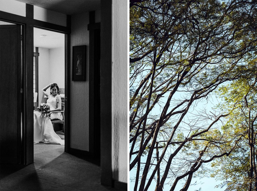 Split image showing a dark interior doorway and sunlit tree branches against sky.
