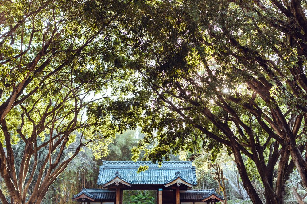 Japanese garden pavilion framed by overarching trees creating a natural tunnel effect.