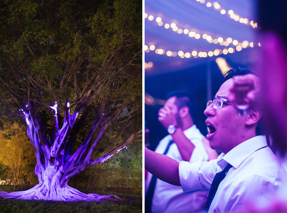 Party scene with dramatic purple lighting and outdoor string lights creating ambient atmosphere.