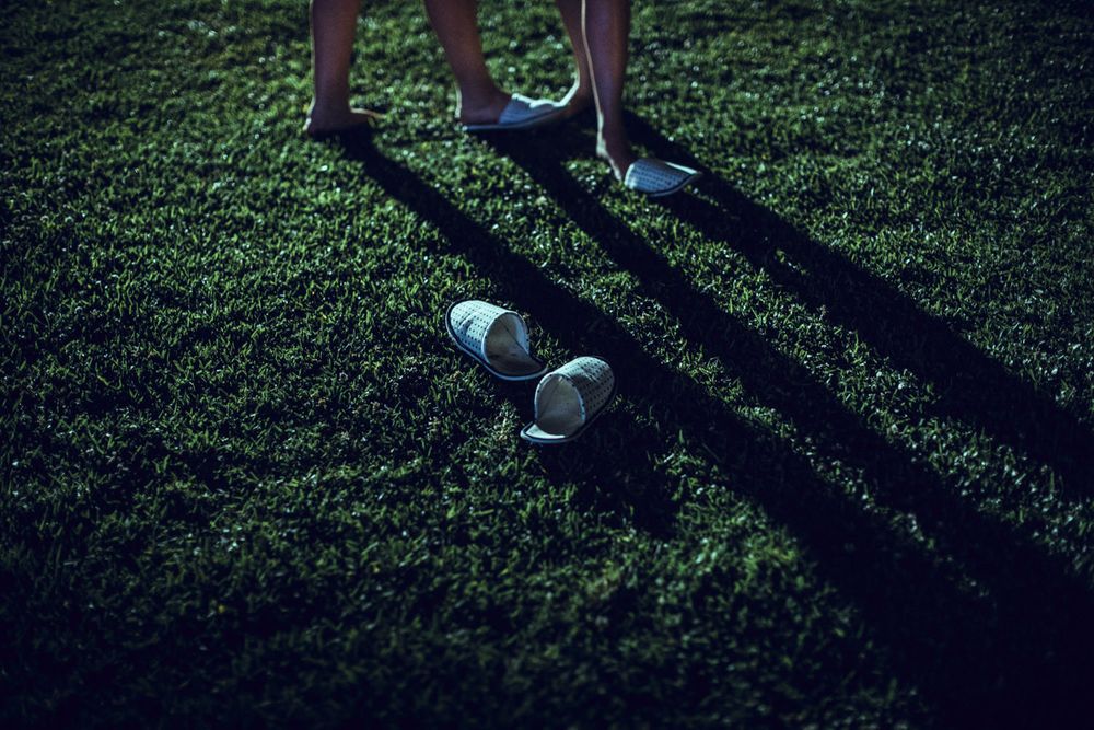 Silhouettes of people standing in a row against grass and shadows cast in evening light.