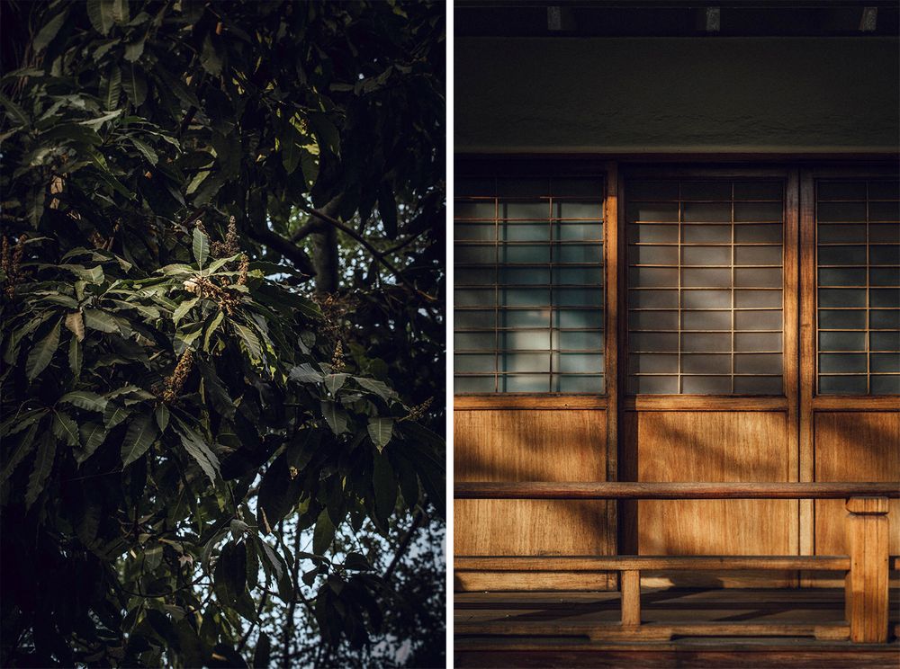 Traditional Japanese wooden architecture with sliding doors and forest backdrop.