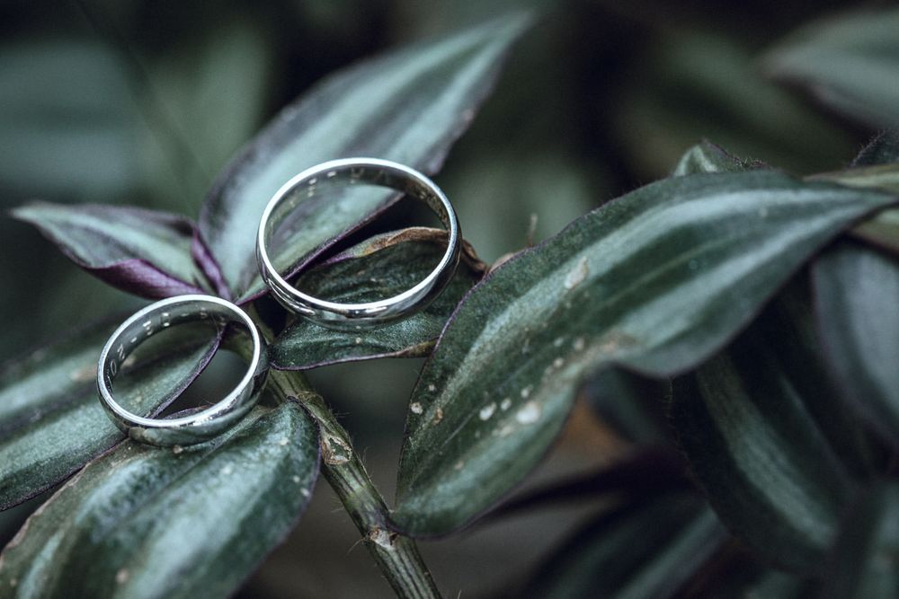Two wedding rings displayed artistically on green plant leaves.
