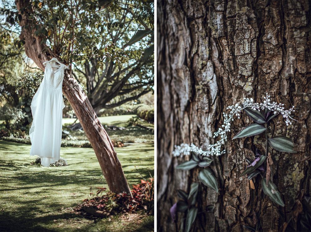 A white wedding dress hangs from a tree branch next to a rustic trunk with delicate details.