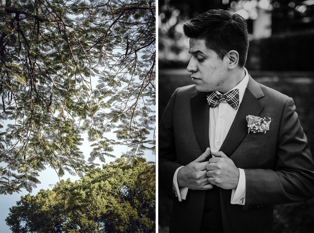 Artistic split image of tree branches and formal attire details.