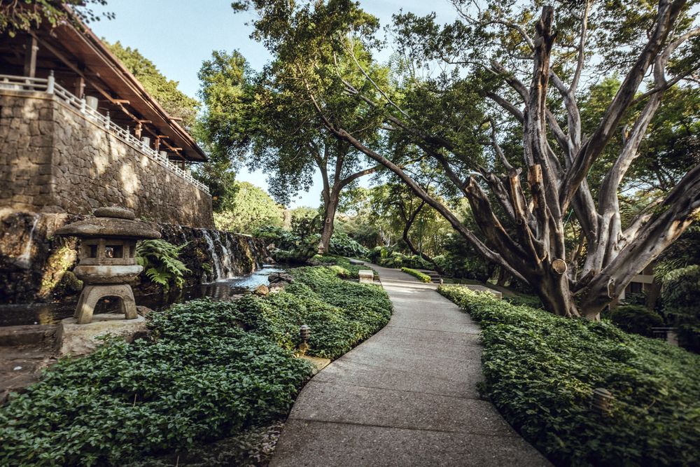Curved concrete pathway through landscaped garden with large trees and stone structure.