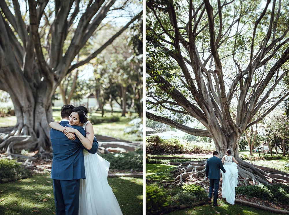 Wedding couple embracing under a large branching tree captured from two different angles.