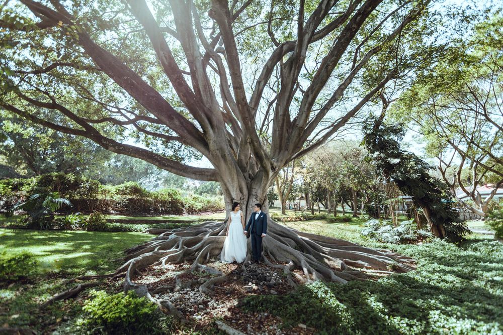 Newlyweds pose beneath a magnificent sprawling tree in a sun-dappled garden setting.