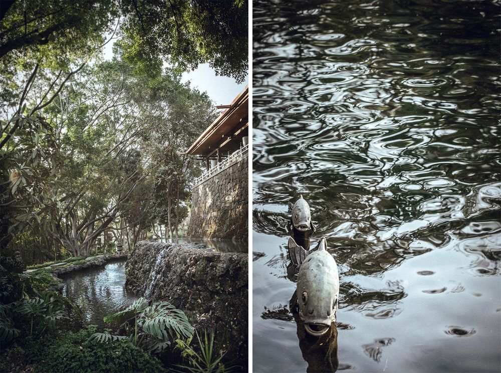 Tranquil garden pond scene with overhanging trees and rippled water reflections.