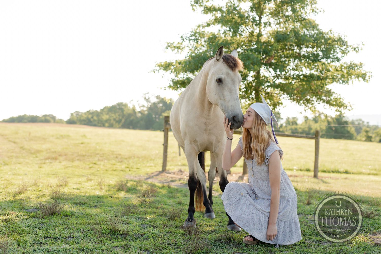 A majestic white horse stands in a pastoral setting with sunlit trees in the background.