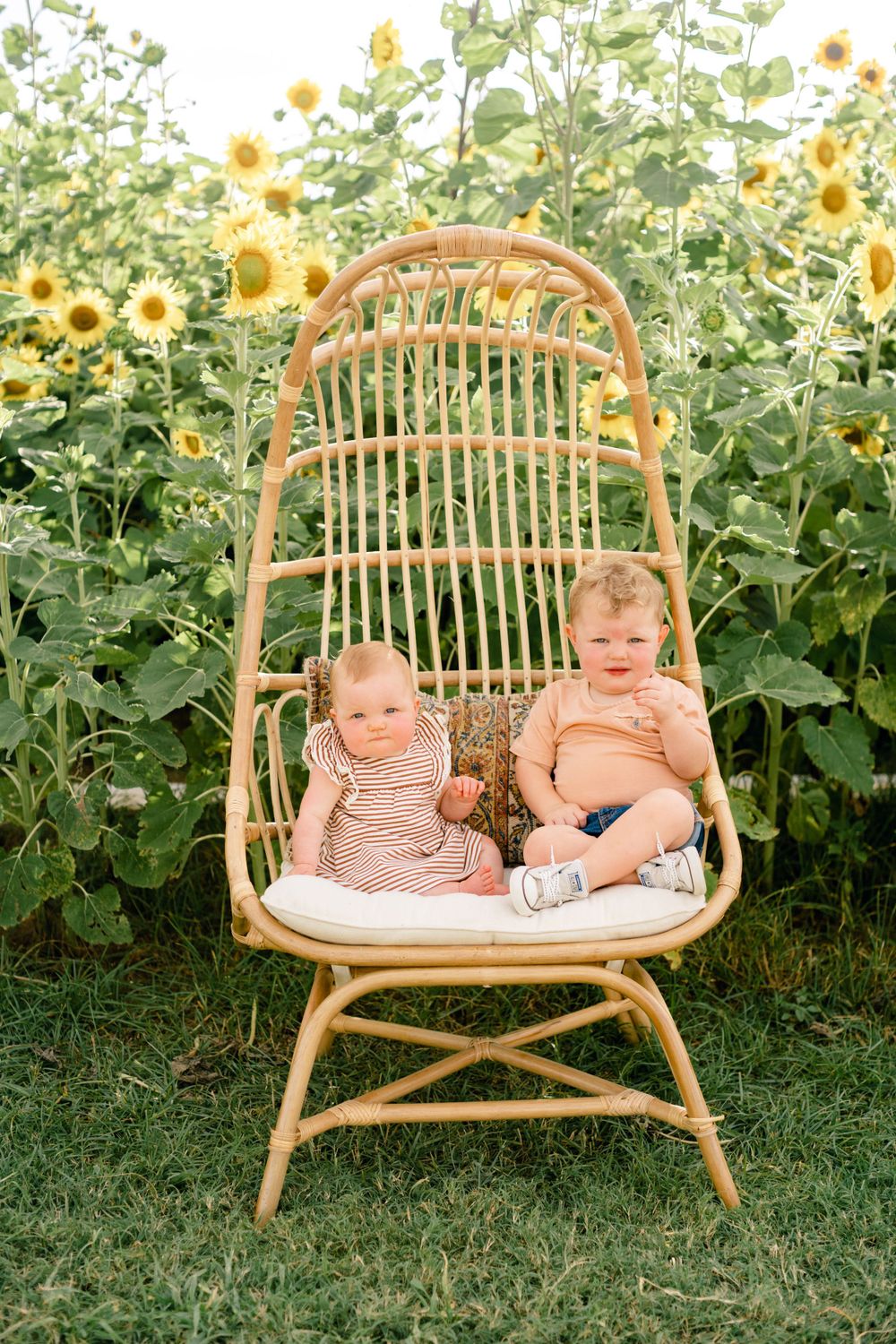 Two young children sit together in a rattan chair surrounded by blooming sunflowers.