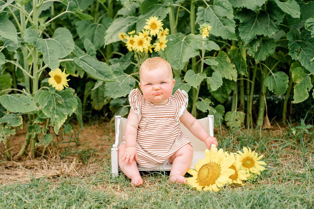 Baby in ruffled romper sits outdoors with bright sunflowers in garden setting.