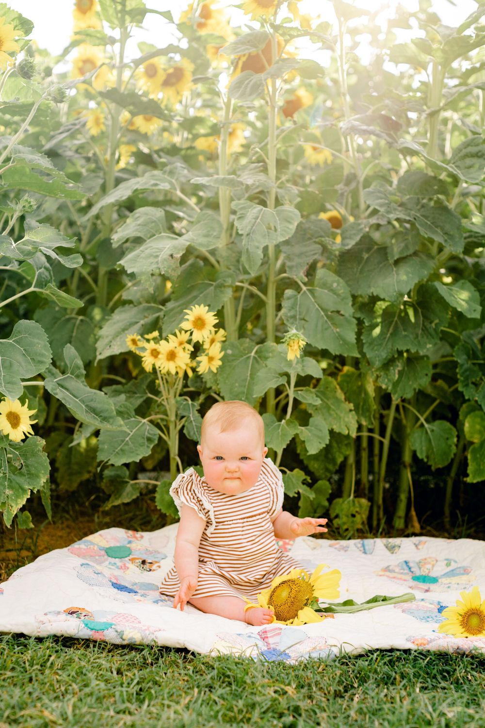 Baby in striped dress plays on floral blanket surrounded by tall sunflowers.