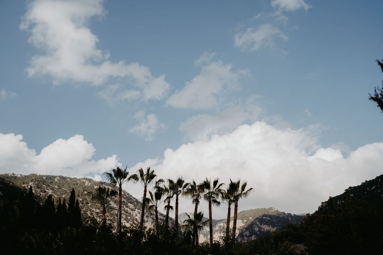 Tall palm trees silhouetted against a blue sky with white clouds and mountain peaks in the background.
