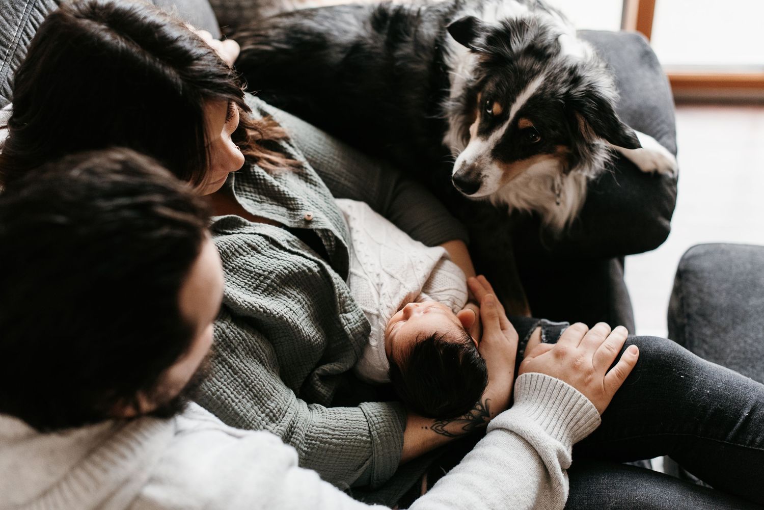 New parents with baby girl and dog sit together at home on their couch. Lindsay Miller Photography