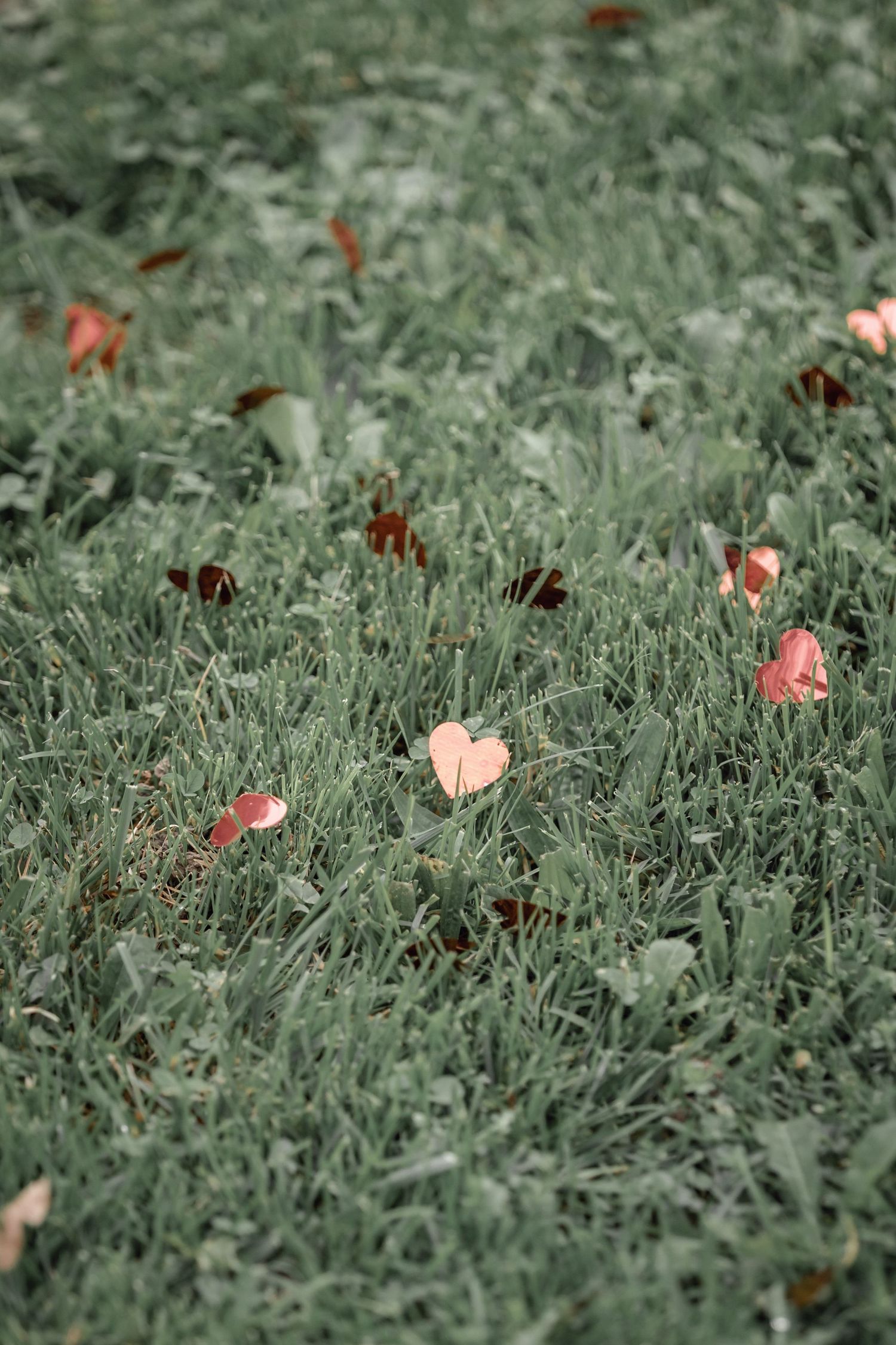 canon a confettis ceremonie, celine.s photography lyon