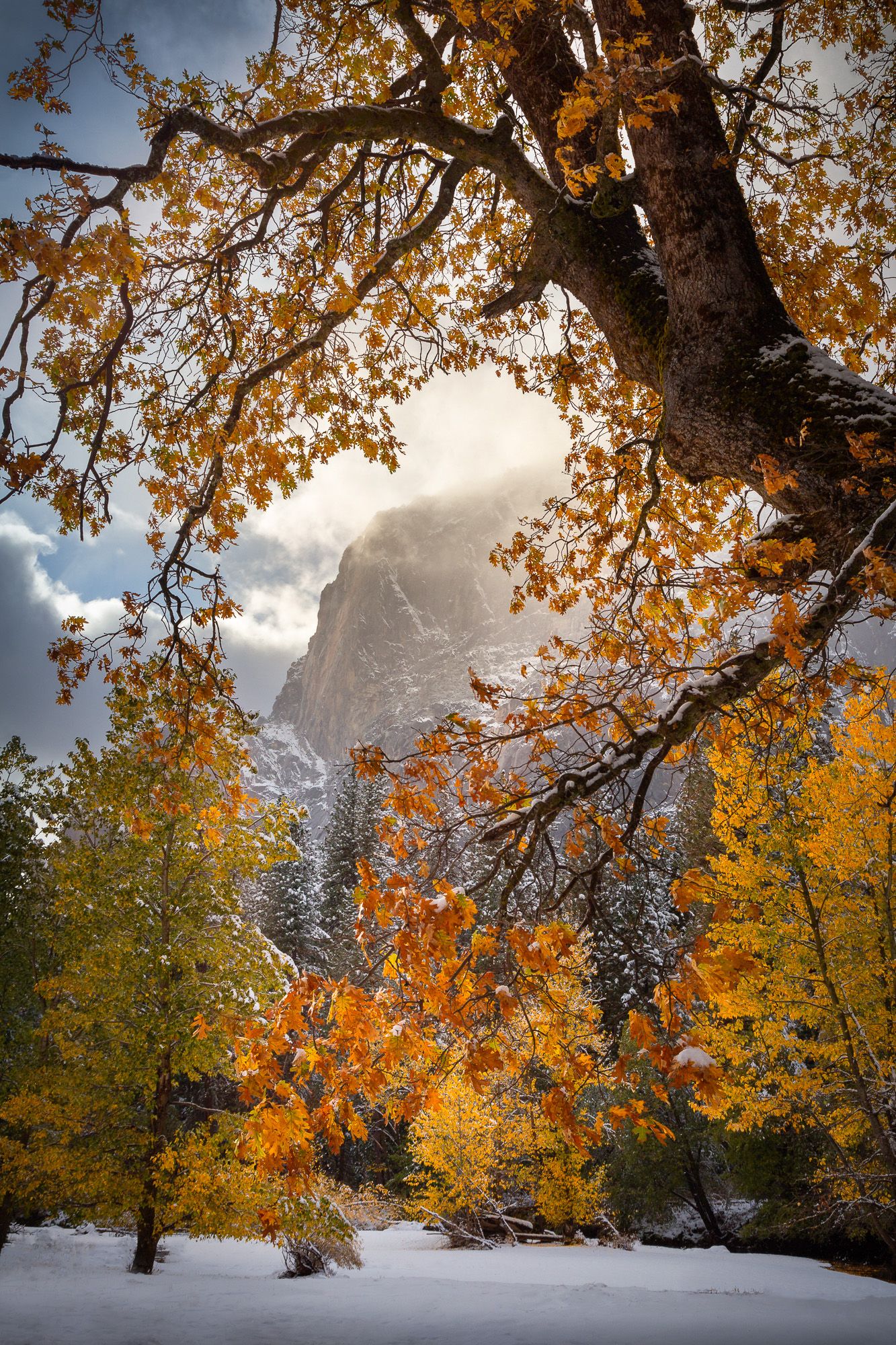 Snow-covered ground beneath towering Half Dome with golden autumn trees framing the misty Yosemite mountain peak.