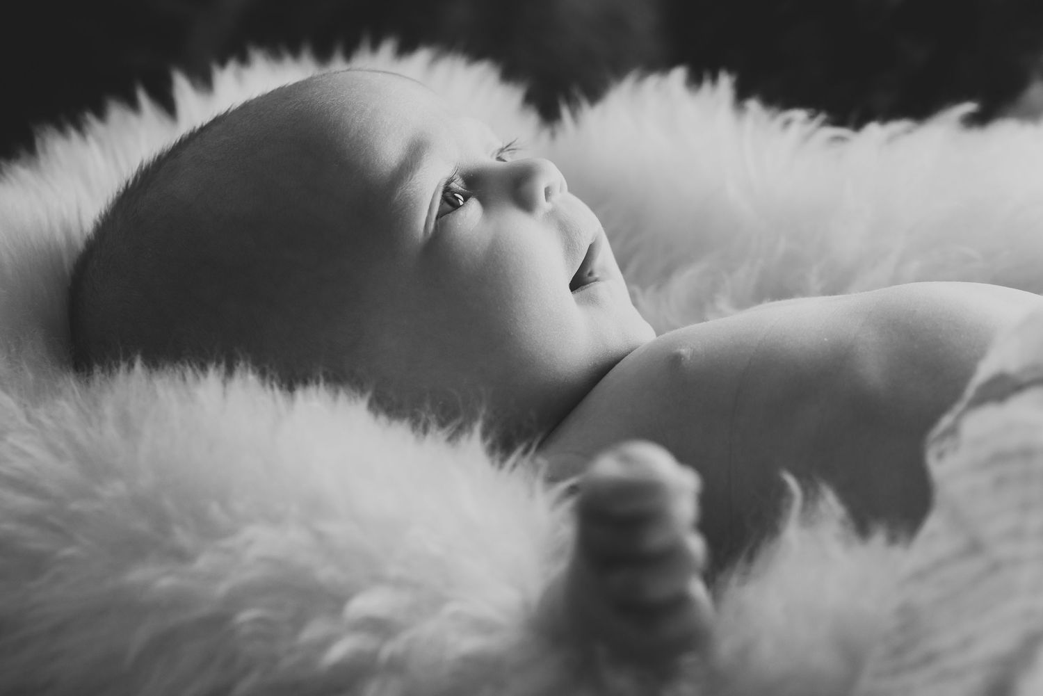 Brooke Moulton Photography | Lifestyle Photography | Longmont, Colorado