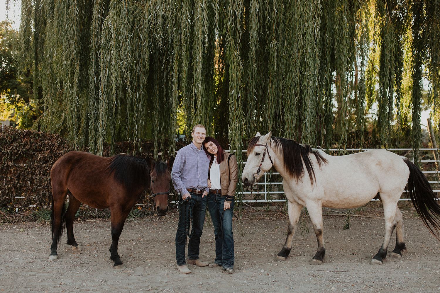 Horses lined up beneath weeping willow trees at a rustic outdoor venue.