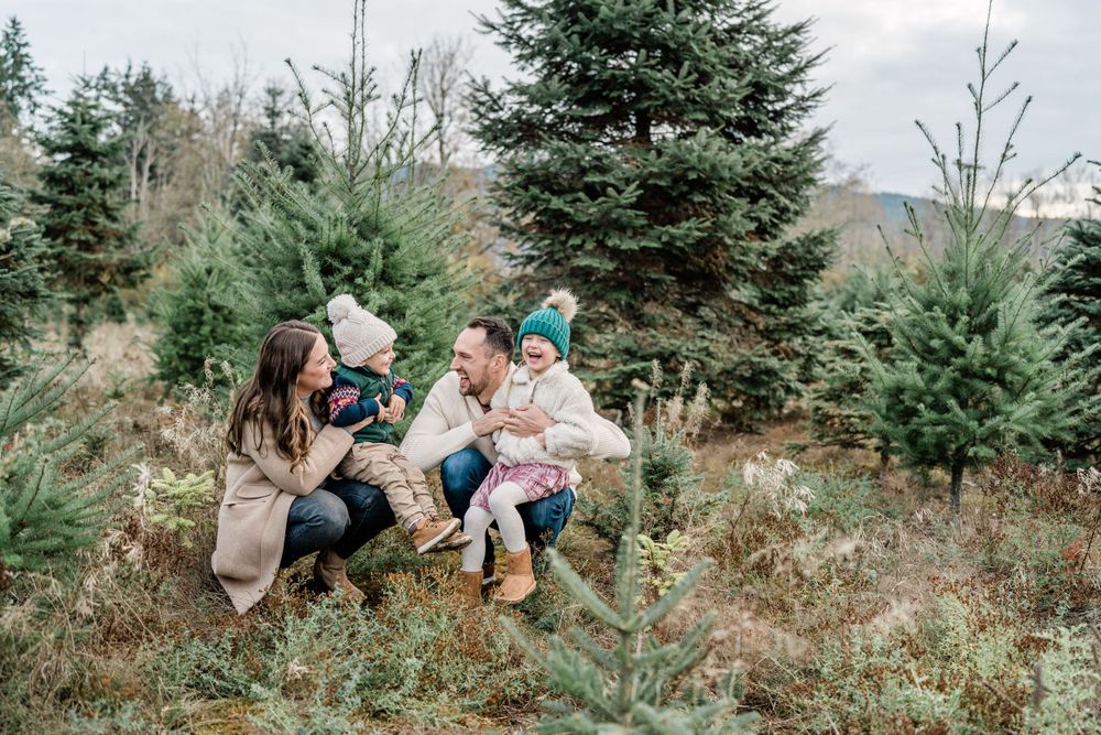 family tickles at the tree farm christmas card lifestyle photographer bellingham washington