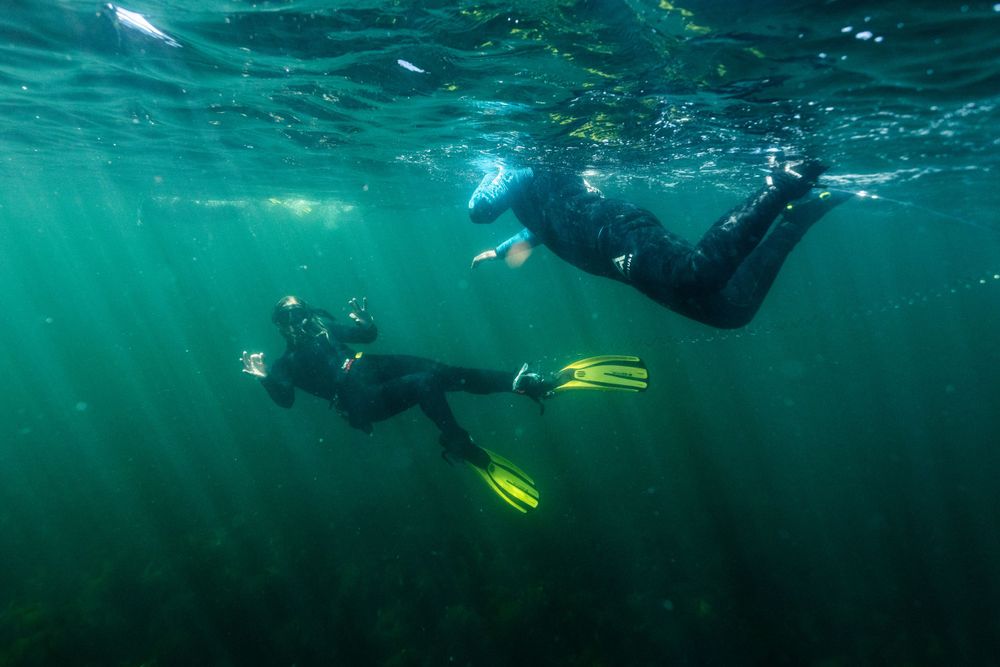 Seatrek Scotland guide swims beneath snorkeller viewed from underwater