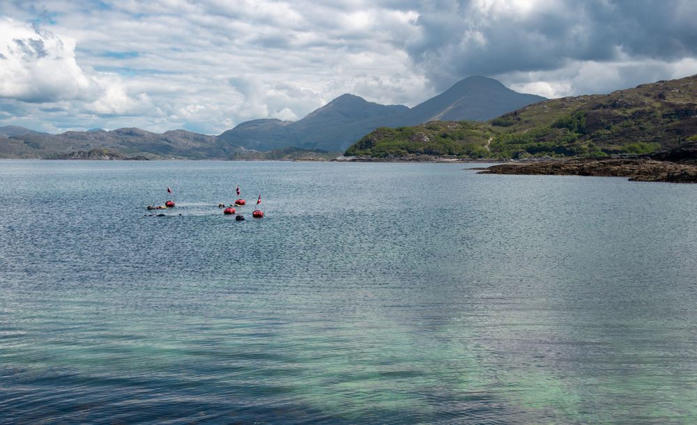 Seatrek Scotland group prepare to snorkel with Scottish mountain landscape in background