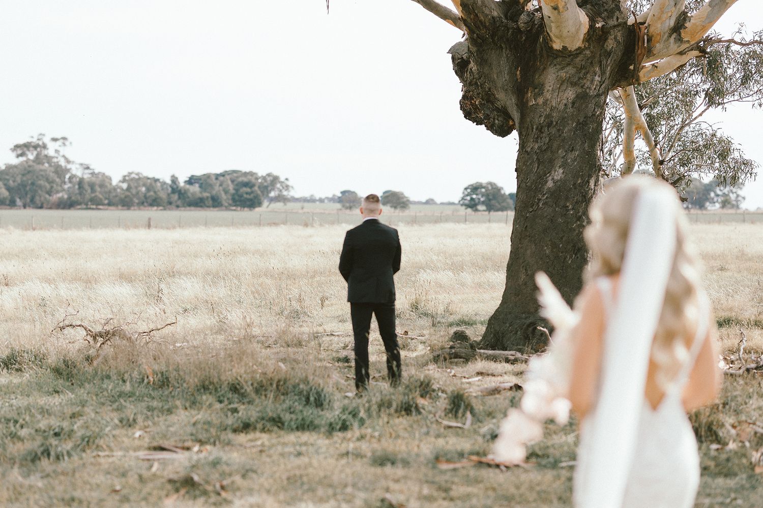 A wedding moment captured under a majestic gum tree in a rustic Australian field.