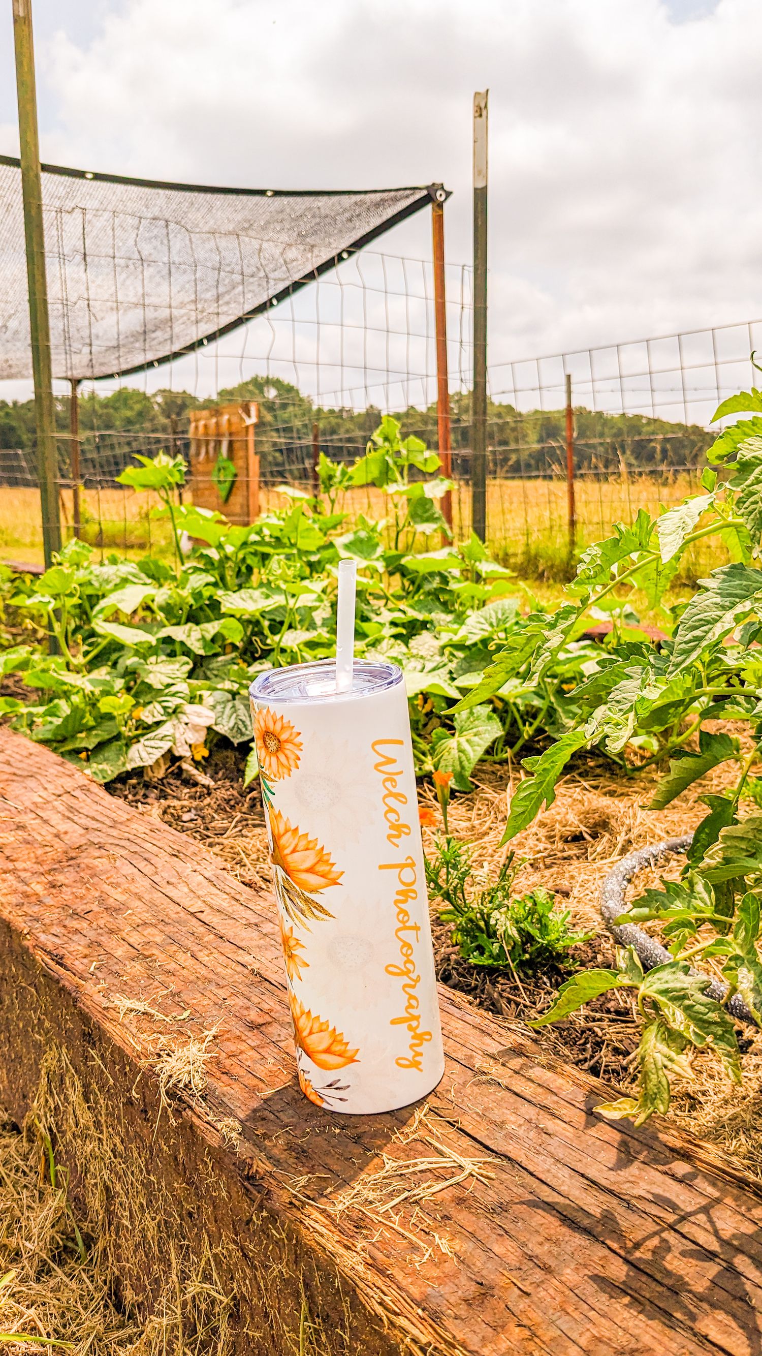 White tumbler cup sitting on wooden bench in vegetable garden with netting fence in background.