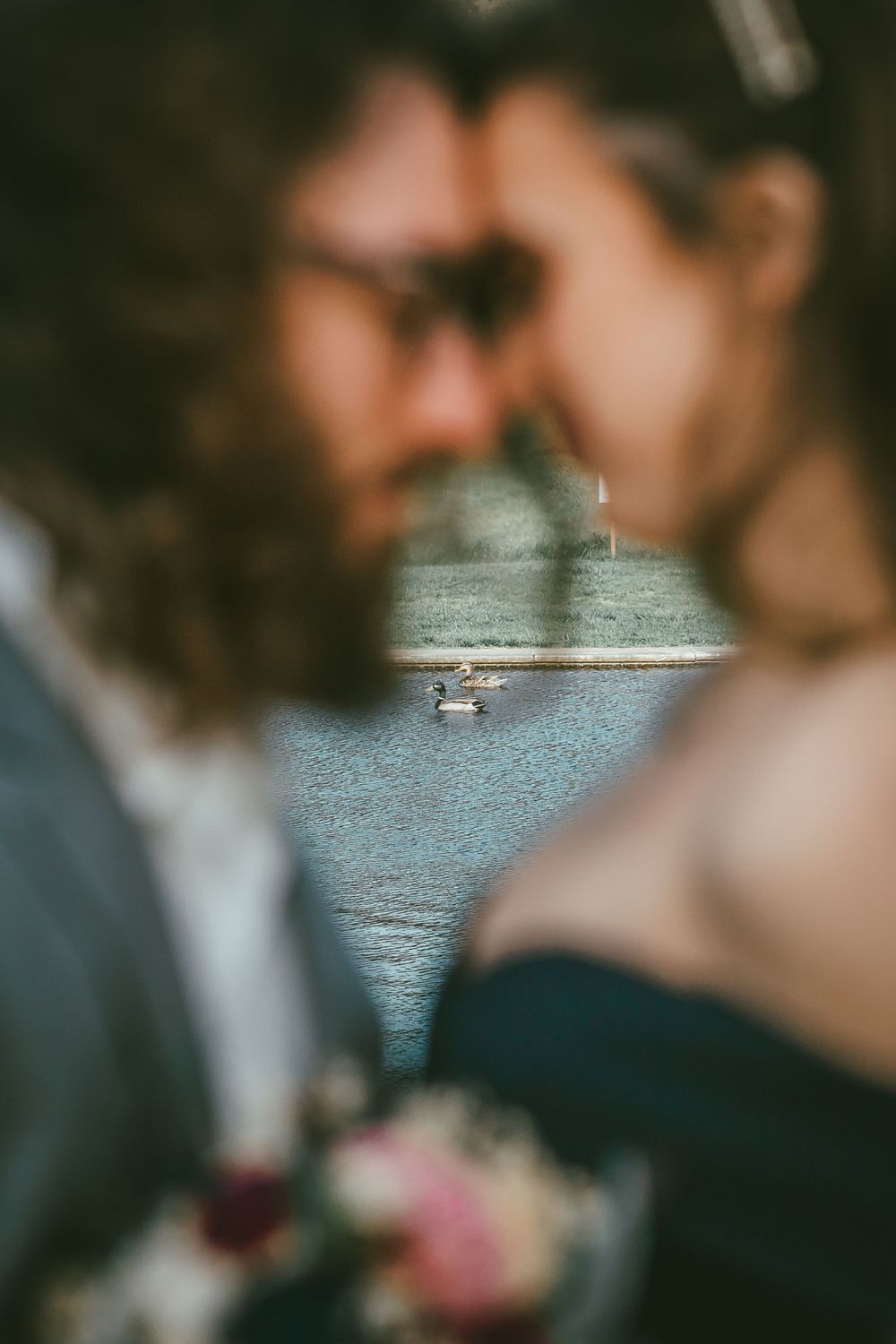 Elopement photographer captures romantic moments at U.S. National Arboretum