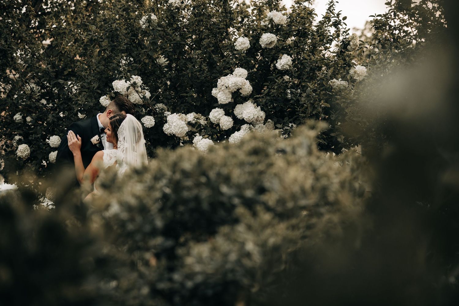 Dreamy garden scene with white roses and soft natural lighting.