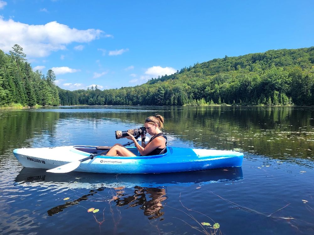 About Clovergirl Photography By Krystle Wells