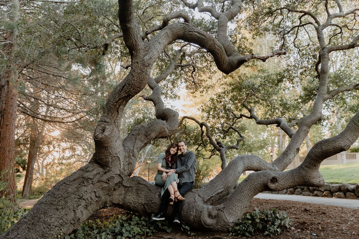 Couples Engagement love portrait photographer oakland bay area oak trees california piedmont park