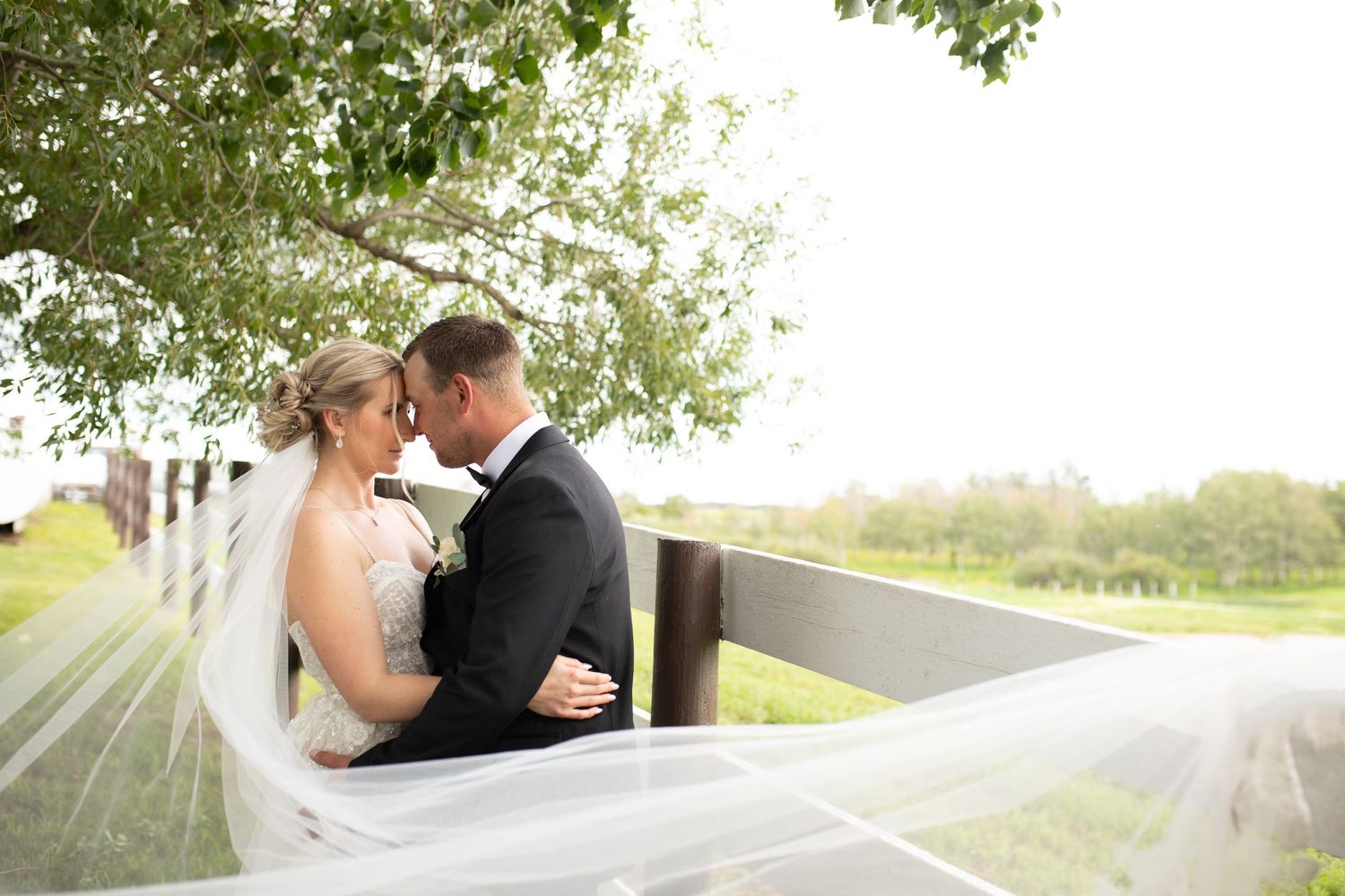 {VEGREVILLE ALBERTA} {SMOOKBROWN PHOTOGRAPHY}  {VEGREVILLE PHOTOGRAPHER}