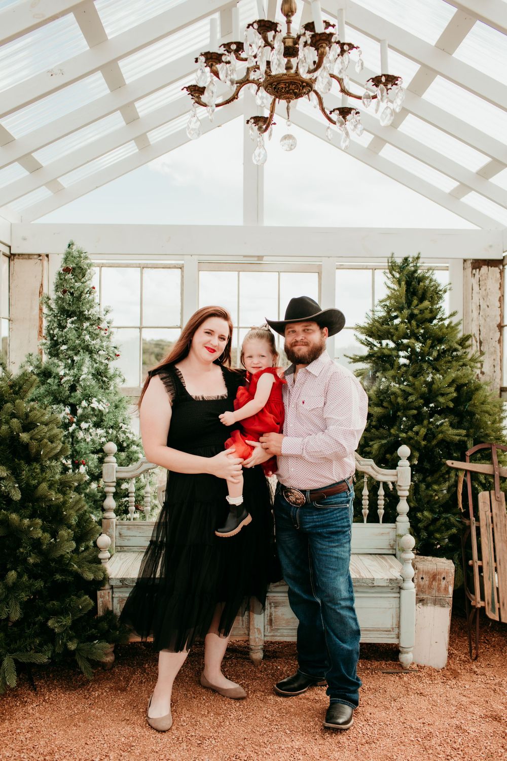 Greenhouse Christmas Minis 2023