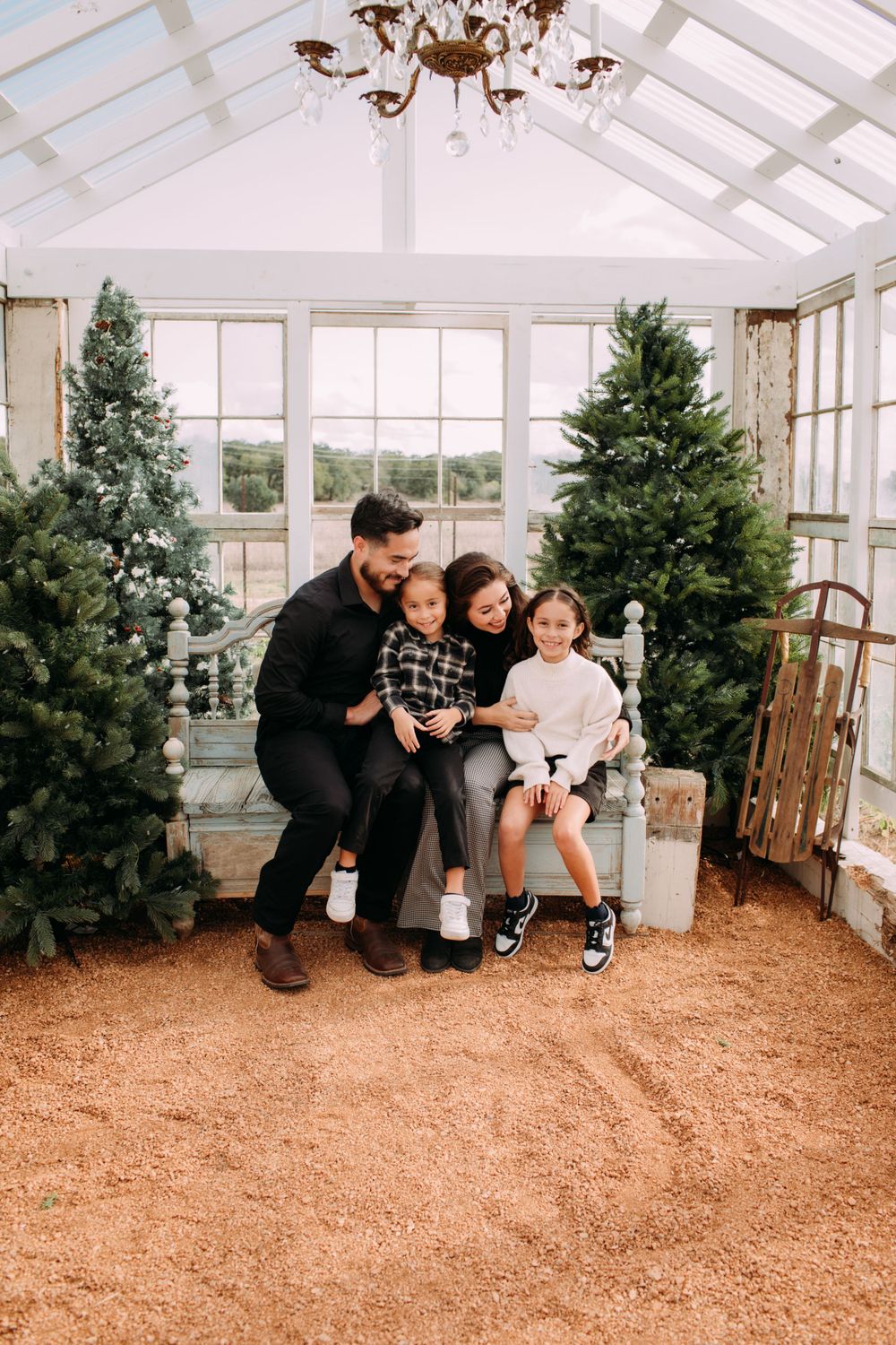 Greenhouse Christmas Minis 2023