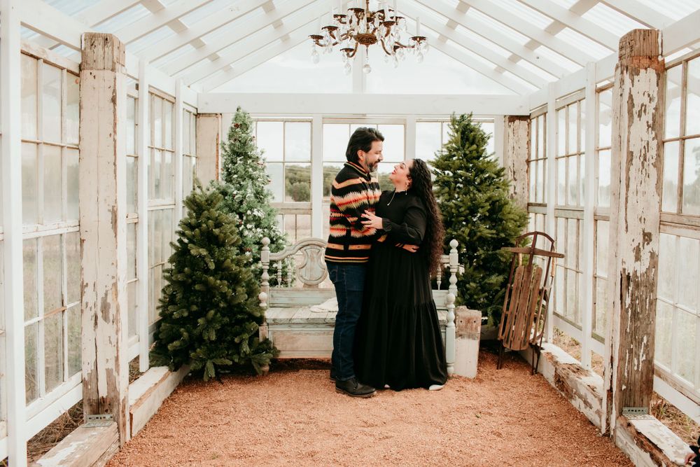 Greenhouse Christmas Minis 2023