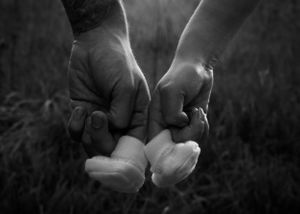 Maternity Photography