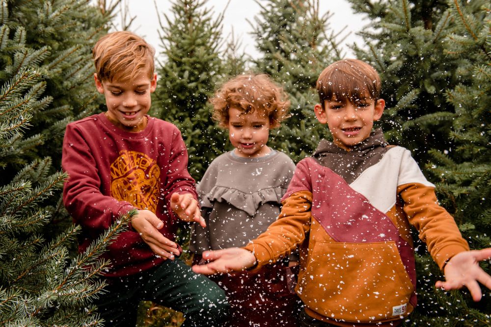 kerst, kerstfoto, kerstfotoshoot, kerstmis, kerstmini, kerstbomen