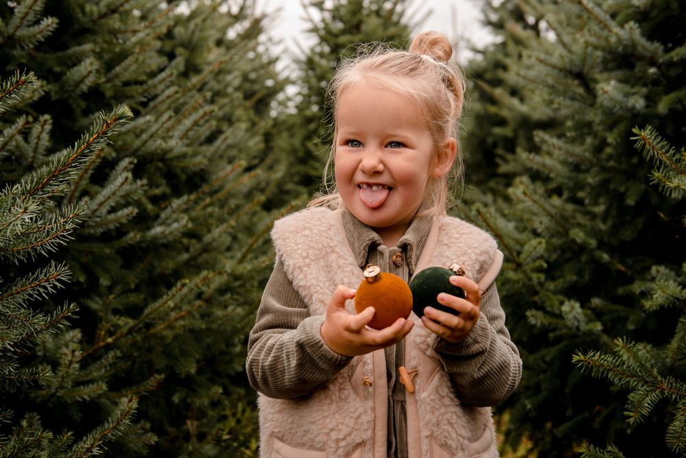 kerst, kerstfoto, kerstfotoshoot, kerstmis, kerstmini, kerstbomen