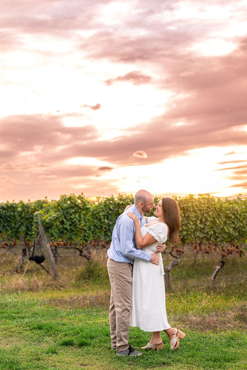 A couple kissing in front of the vineyards during sunset. Long Island Vineyards