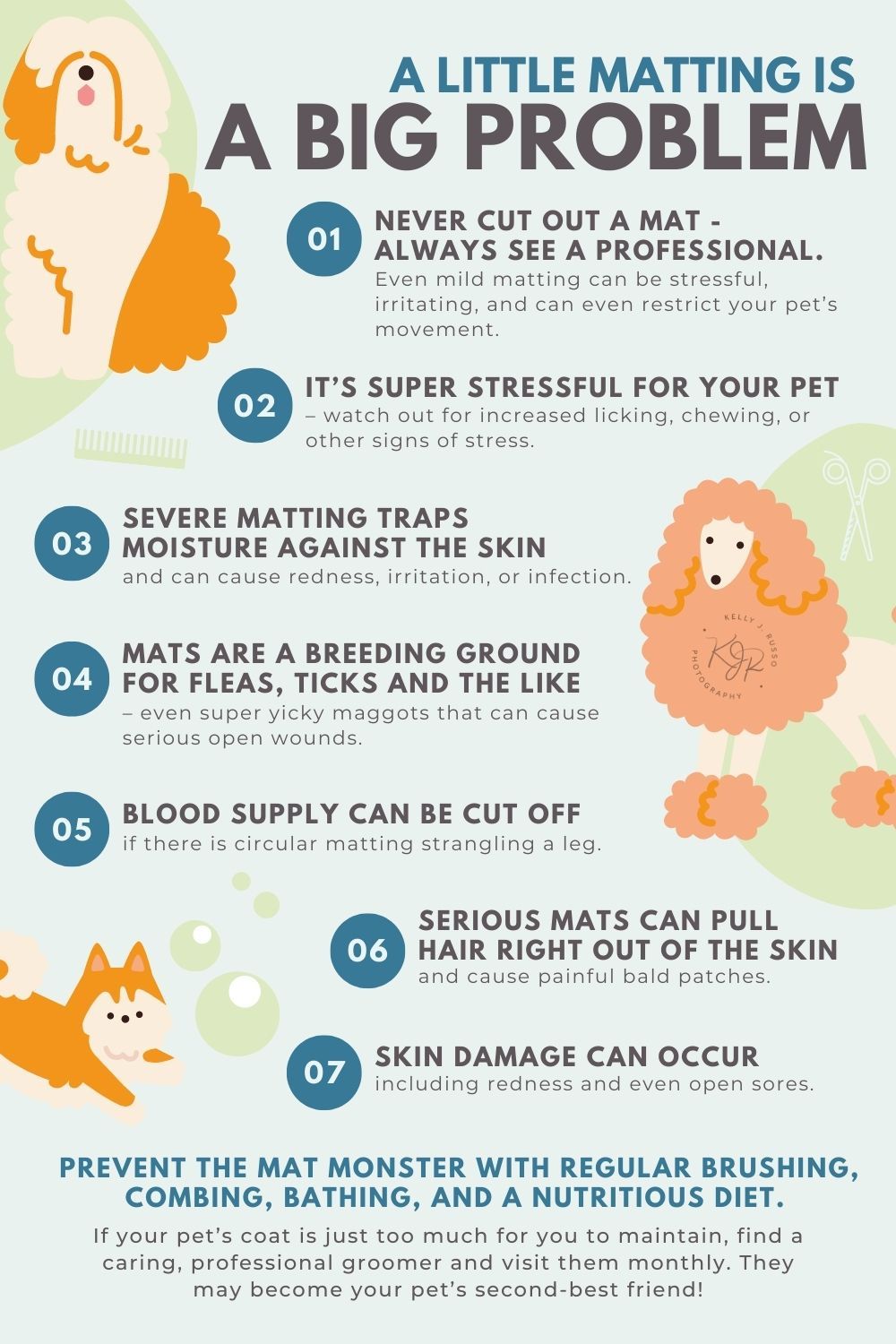 Mats in your dog's hair? Why they are important to remove. Kelly J