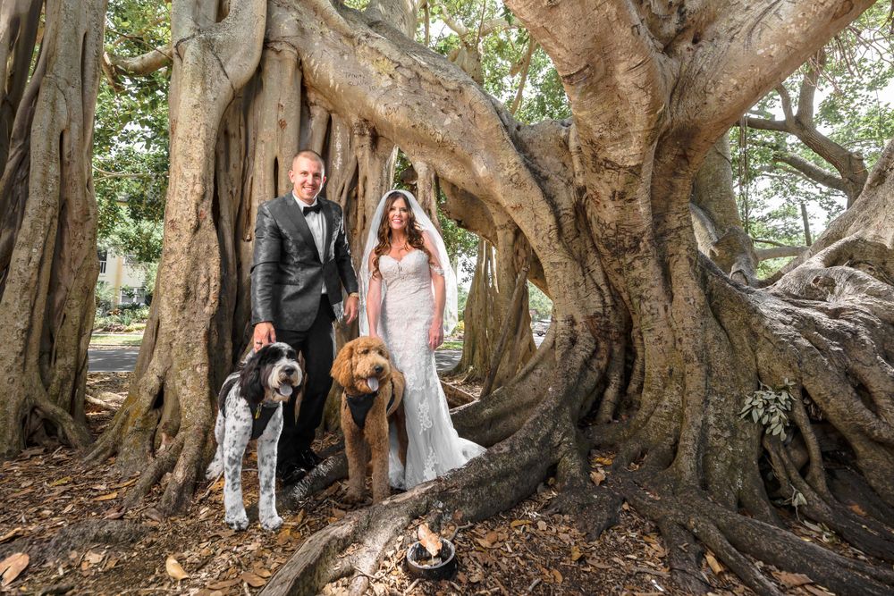 Venice Florida Wedding