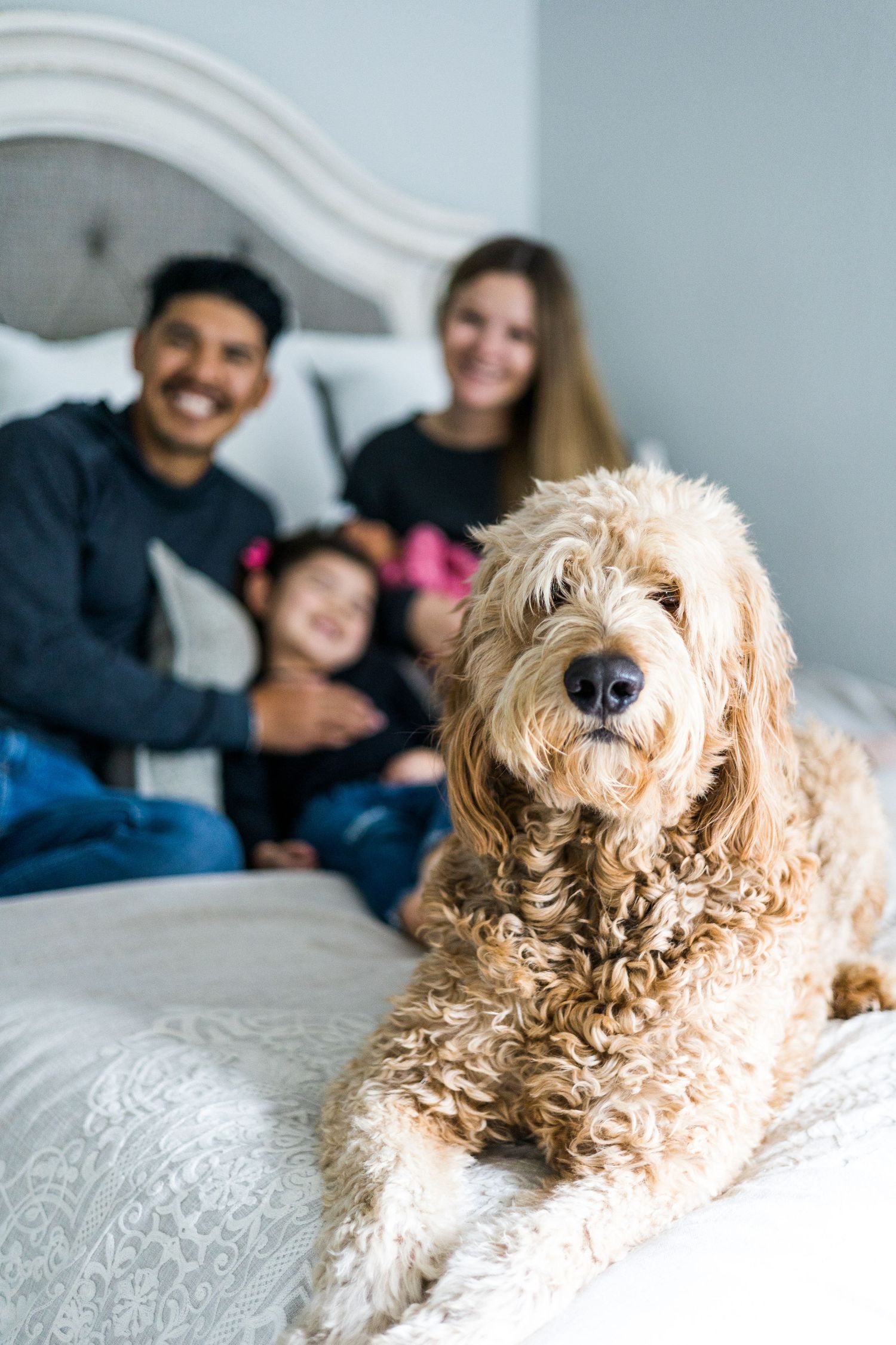 Family session with parents, kids and dog