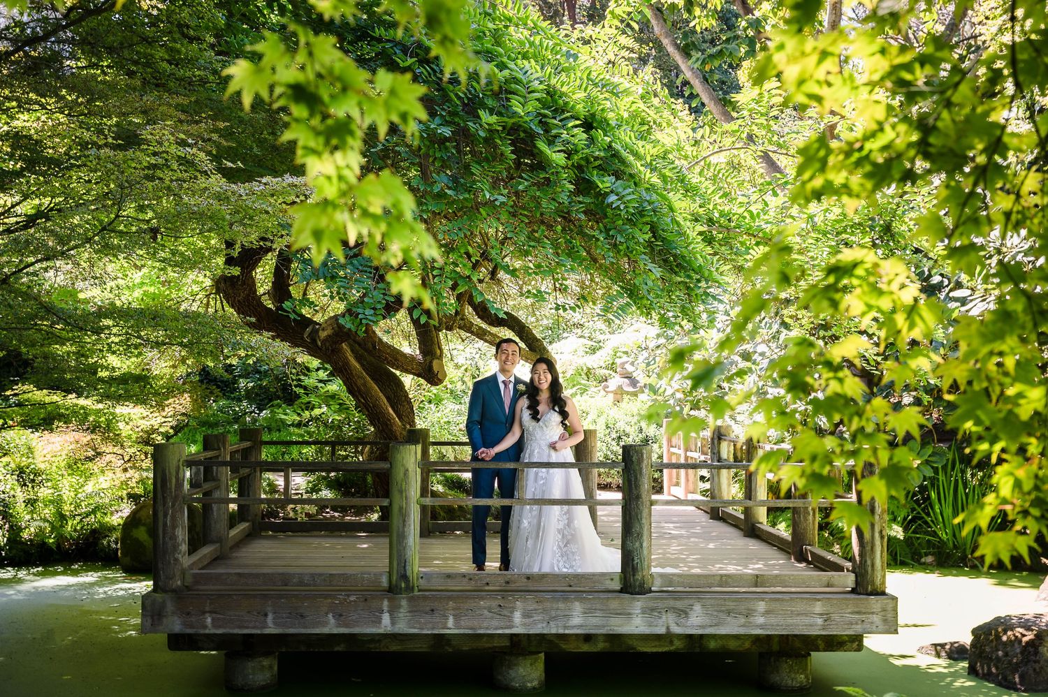 A romantic wedding portrait on a wooden bridge surrounded by lush Japanese maples.