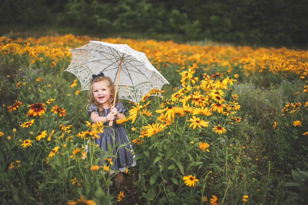 White lace umbrella held in a field of blooming yellow black-eyed susan flowers on a summer day.