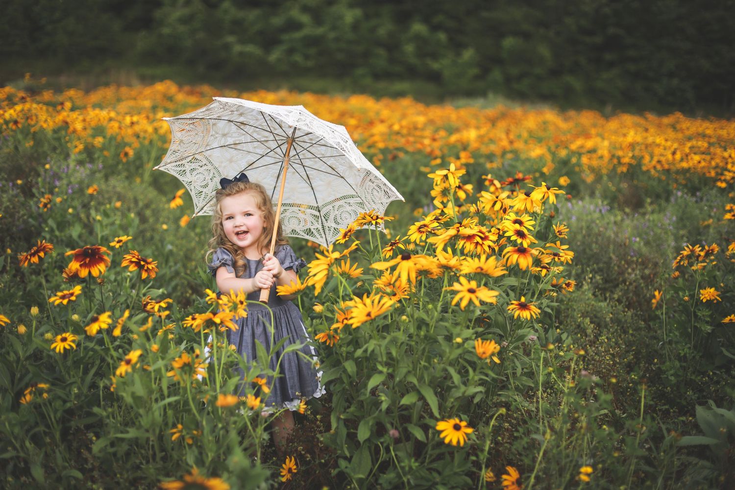 White lace umbrella held in a field of blooming yellow black-eyed susan flowers on a summer day.