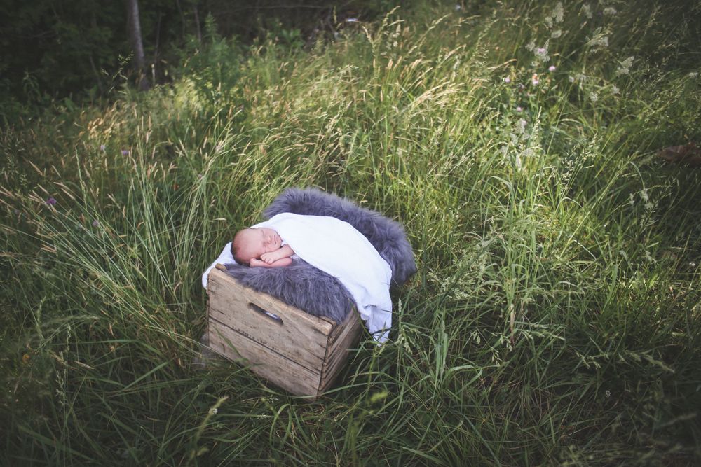 Toddler playing in tall grassy meadow during summer photoshoot session.