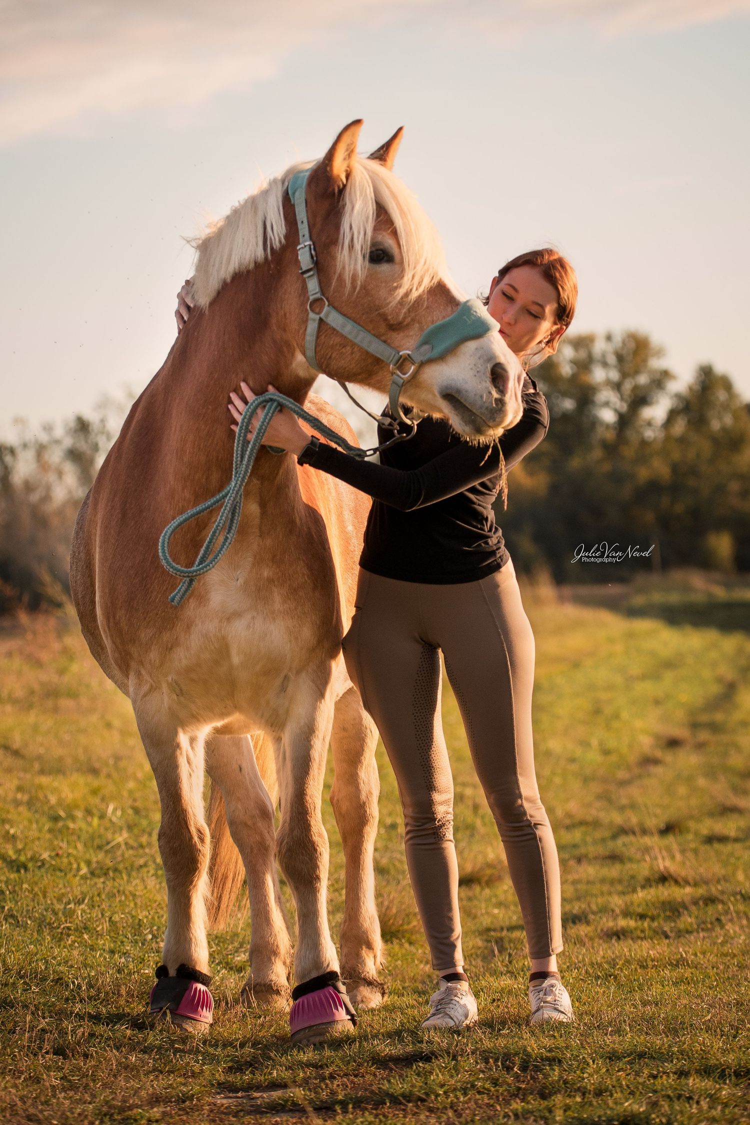 Cheval et sa cavalière