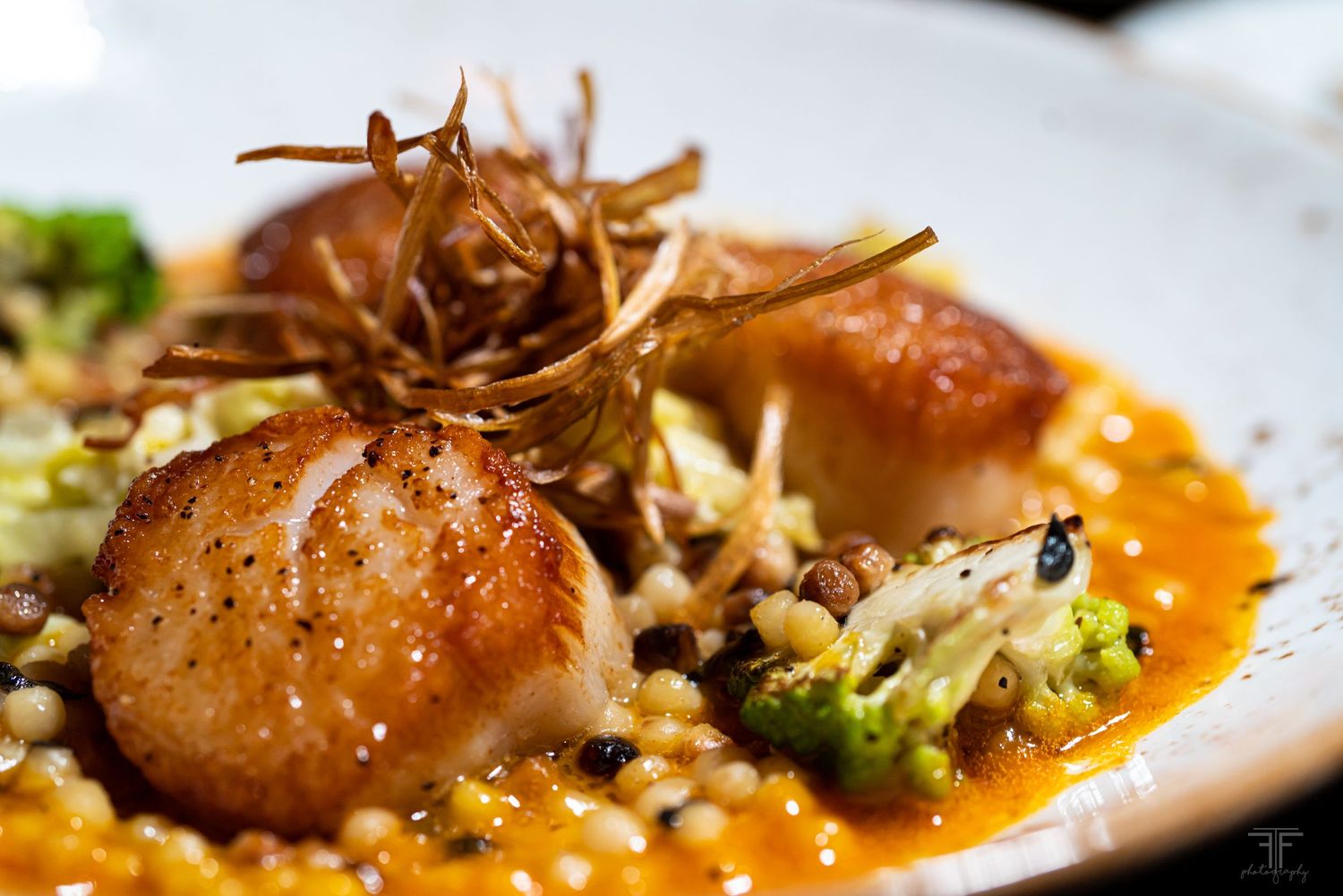 Pan-seared scallops with microgreens and orange sauce plated on white dinnerware.